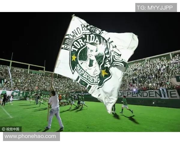 巴西足球明星观赛时间揭秘球迷必看精彩赛事安排与明星出席信息